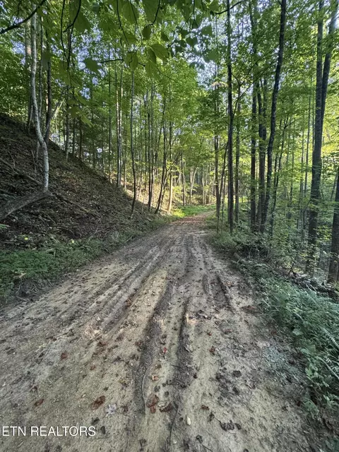 150 Timber Oaks Ln, Pioneer, TN 37847