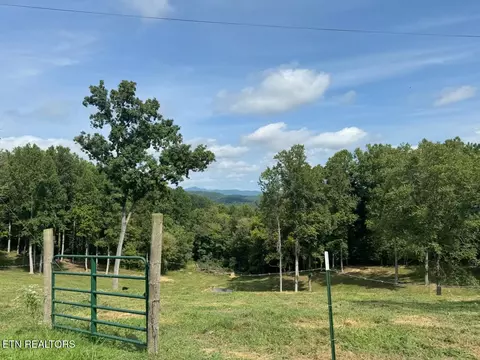 Locust Grove Rd, New Tazewell, TN 37825