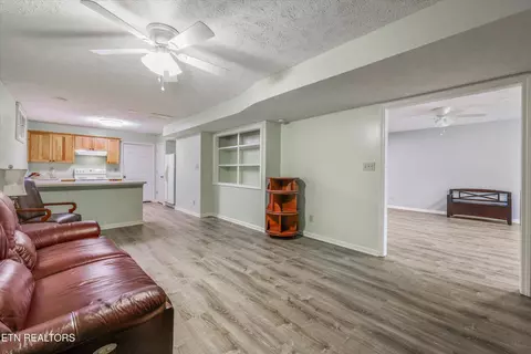 Living - 331 E Chestnut Hill Rd, Townsend, TN 37882 photo 4 of 5
