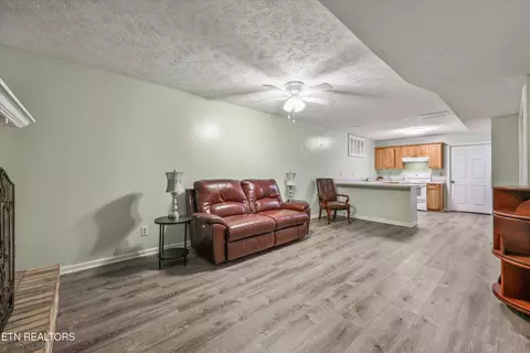 Living - 331 E Chestnut Hill Rd, Townsend, TN 37882 photo 5 of 5