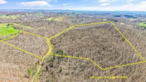 515 Robinson Rd, New Tazewell, TN 37825