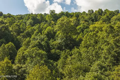 Watson Hollow Rd, Speedwell, TN 37870