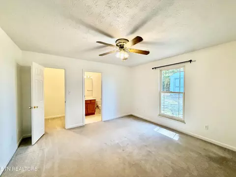 Bedroom - 7722 Cotton Patch Rd, Corryton, TN 37721 photo 1 of 6