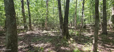 W Laurel Way, Monterey, TN 38574