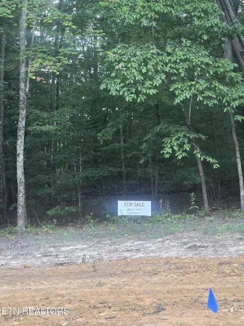 lot4 Bk I Ravenwood Dr, Wartburg, TN 37887