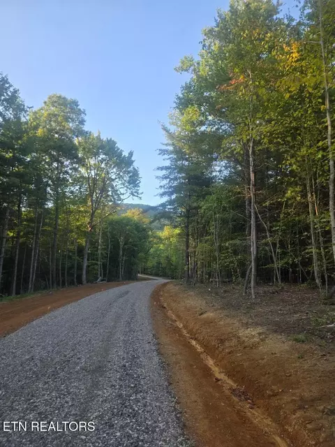 lot6 Bk I Ravenwood Dr, Wartburg, TN 37887