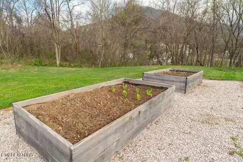 Other - 254 Mountain Rd, Luttrell, TN 37779 photo 6 of 6