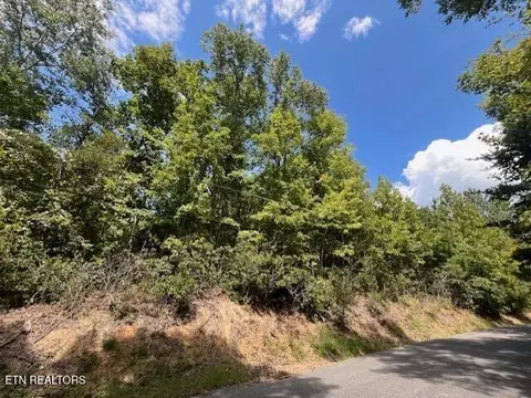 00 Overview Dr, Gatlinburg, TN 37738