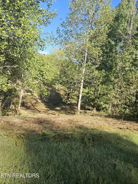 103 105 Docks Of The Bay Dr, Rockwood, TN 37854