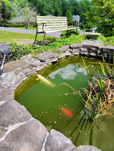 Other - 172 Ridgefield Rd #SW, Wise, VA 24293 photo 6 of 22