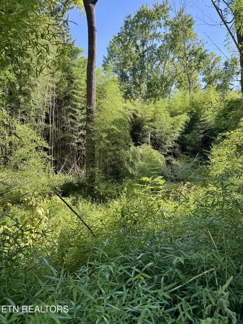 S Lenoir Ave, Rockwood, TN 37854