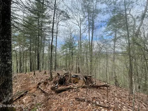 tbd Walnut Flats Rd, Walland, TN 37886 photo 6