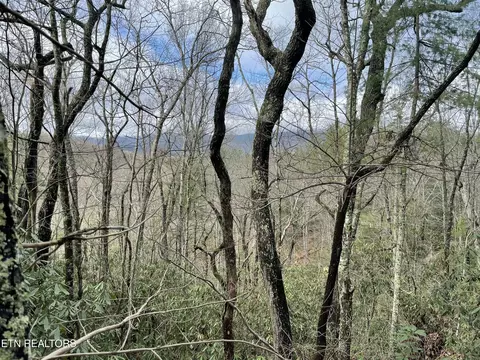 tbd Walnut Flats Rd, Walland, TN 37886 photo 8