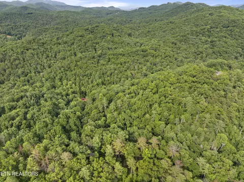 tbd Walnut Flats Rd, Walland, TN 37886 photo 4