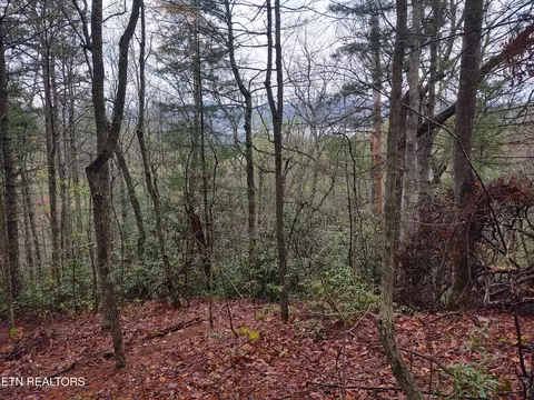 tbd Walnut Flats Rd, Walland, TN 37886 photo 3