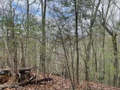 tbd Walnut Flats Rd, Walland, TN 37886 photo 7