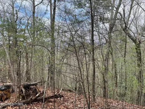 tbd Walnut Flats Rd, Walland, TN 37886 photo 5
