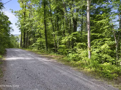 tbd Walnut Flats Rd, Walland, TN 37886 photo 2