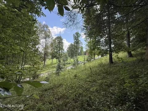 Foxwood Drive, Caryville, TN 37714