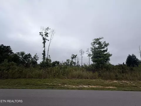 elb private drive LOT 17/18, Huntsville, TN 37756