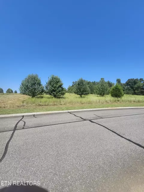 lot24 Docks Of The Bay Dr, Harriman, TN 37748