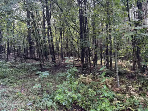 Davis Rd, Deer Lodge, TN 37726 photo 32
