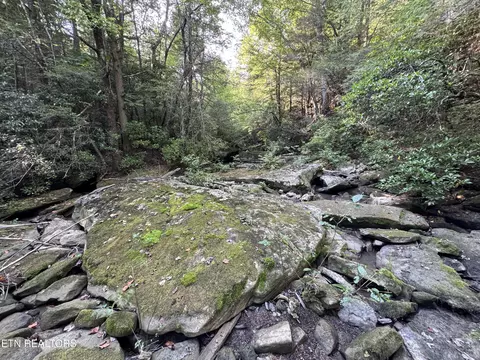 Davis Rd, Deer Lodge, TN 37726 photo 38