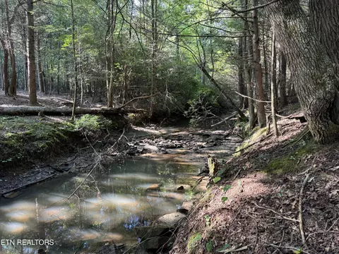 Davis Rd, Deer Lodge, TN 37726 photo 46