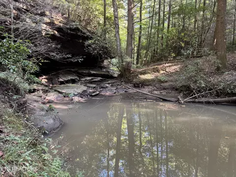 Davis Rd, Deer Lodge, TN 37726 photo 42