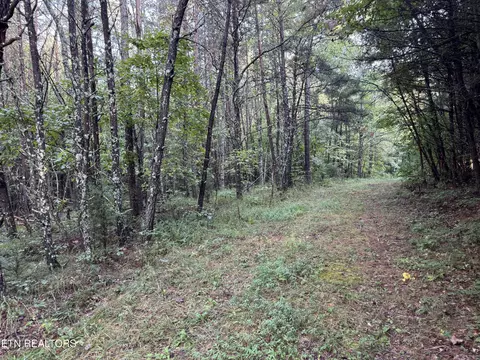 Davis Rd, Deer Lodge, TN 37726 photo 29