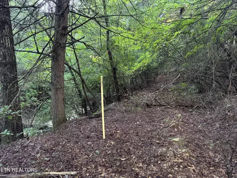 Davis Rd, Deer Lodge, TN 37726 photo 6