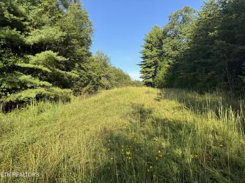 Davis Rd, Deer Lodge, TN 37726 photo 25
