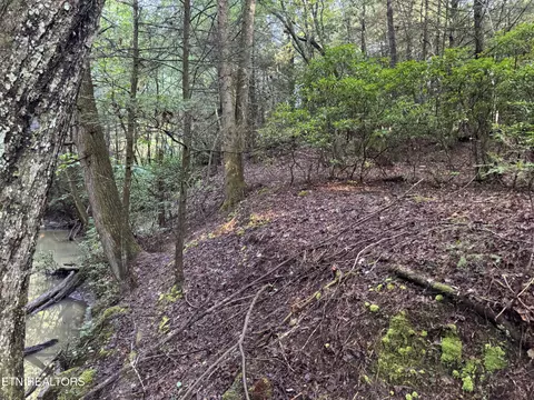 Davis Rd, Deer Lodge, TN 37726 photo 14