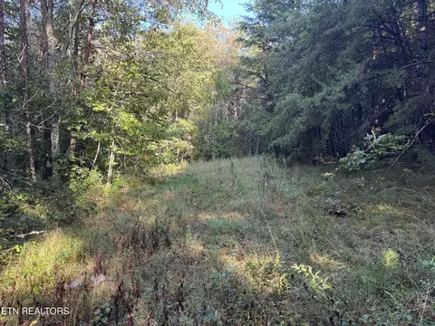 Davis Rd, Deer Lodge, TN 37726 photo 31