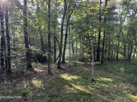 Davis Rd, Deer Lodge, TN 37726 photo 23