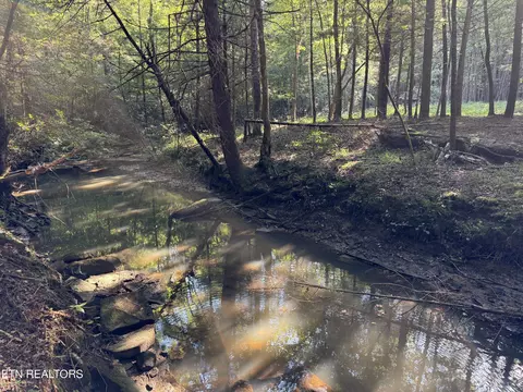 Davis Rd, Deer Lodge, TN 37726 photo 45