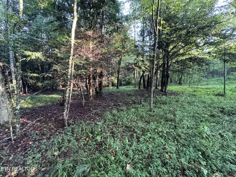Davis Rd, Deer Lodge, TN 37726 photo 2