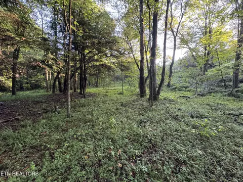 Davis Rd, Deer Lodge, TN 37726 photo 3