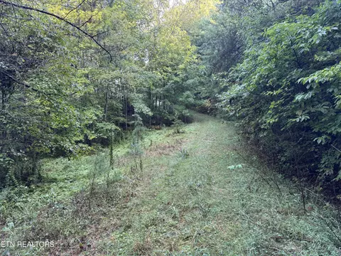 Davis Rd, Deer Lodge, TN 37726 photo 28