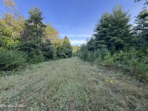 Davis Rd, Deer Lodge, TN 37726 photo 27