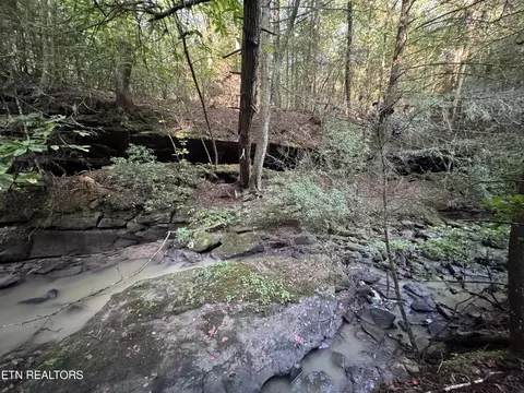 Davis Rd, Deer Lodge, TN 37726 photo 13