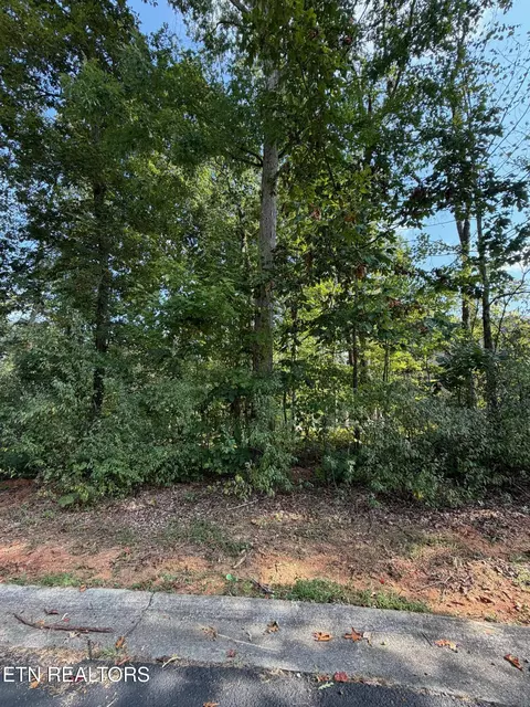 211 Ottawa Pl, Loudon, TN 37774