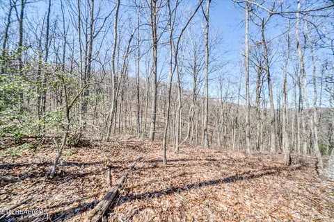 lot734 735 Renegade Mountain Pkwy, Crab Orchard, TN 37723