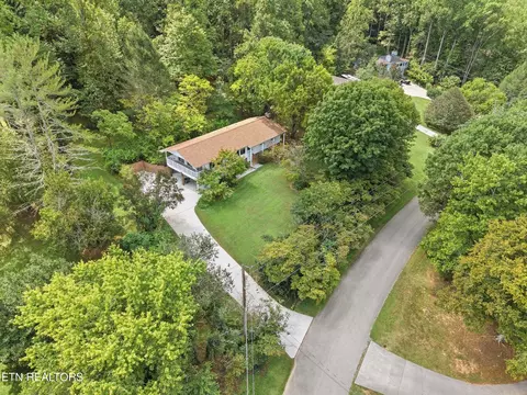 View/Area - 347 E Chestnut Hill Rd, Townsend, TN 37882 photo 5 of 8