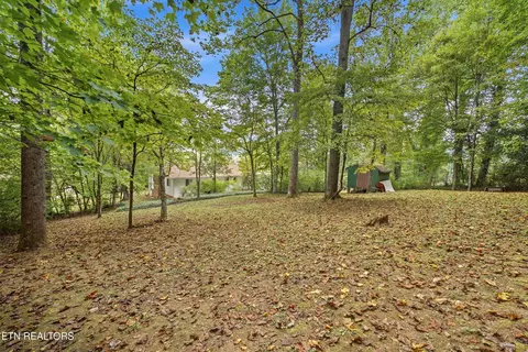 Exterior - 347 E Chestnut Hill Rd, Townsend, TN 37882 photo 7 of 13