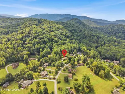 View/Area - 347 E Chestnut Hill Rd, Townsend, TN 37882 photo 6 of 8