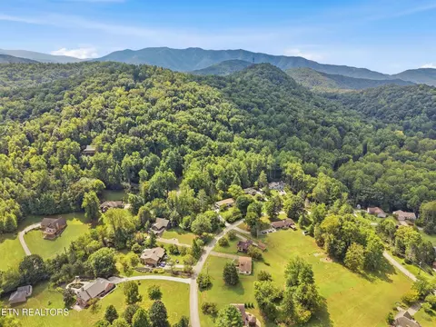 View/Area - 347 E Chestnut Hill Rd, Townsend, TN 37882 photo 4 of 8