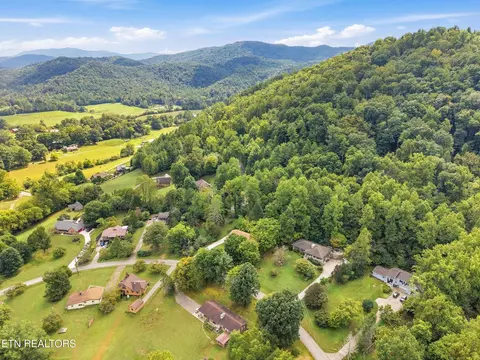 View/Area - 347 E Chestnut Hill Rd, Townsend, TN 37882 photo 7 of 8