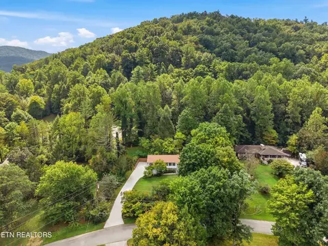 View/Area - 347 E Chestnut Hill Rd, Townsend, TN 37882 photo 2 of 8