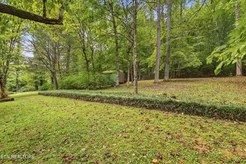 Exterior - 347 E Chestnut Hill Rd, Townsend, TN 37882 photo 4 of 13